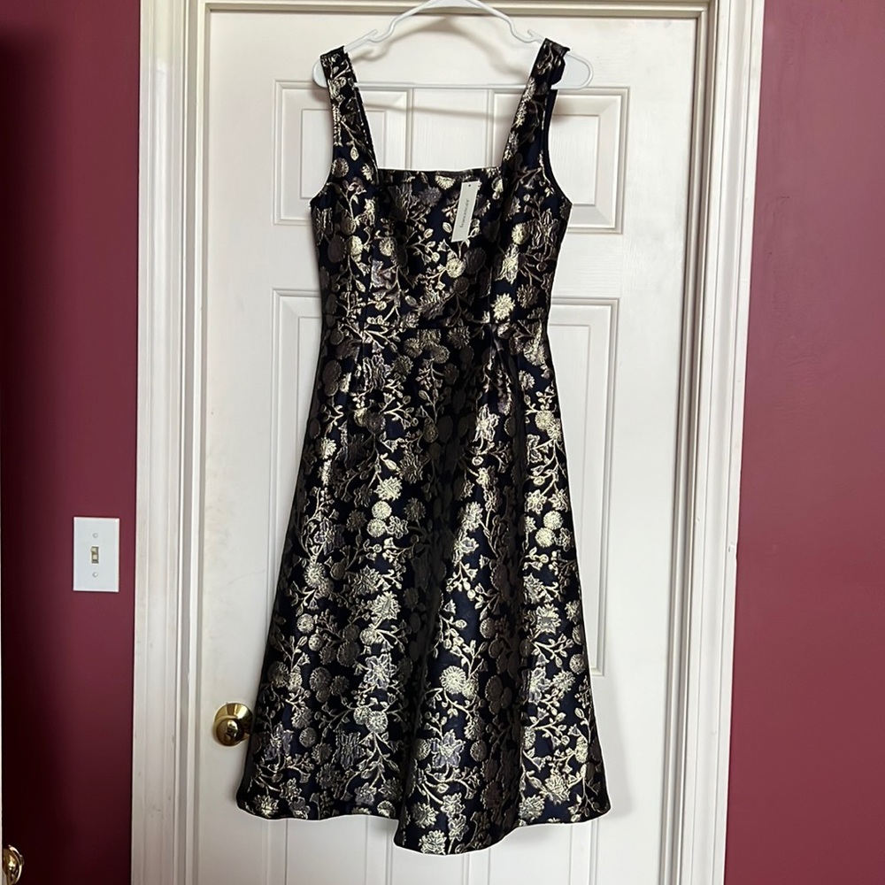 Blue/Gold Francesca’s Dress